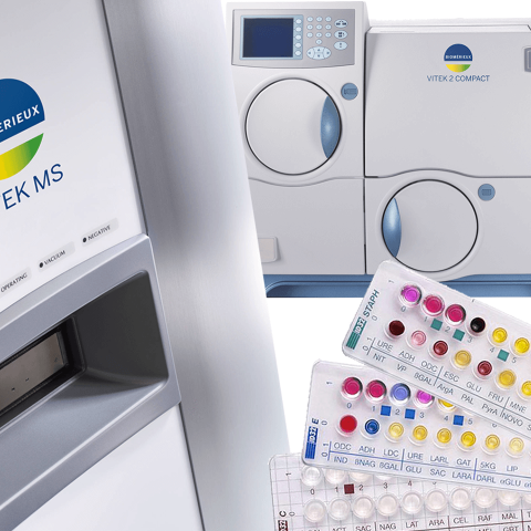 ビオメリュー 産業事業本部